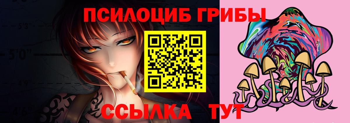 Псилоцибиновые грибы Psilocybe Северск
