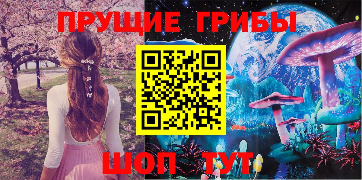 Северск  Псилоцибиновые грибы MAGIC MUSHROOMS  где найти наркотики  Галлюциногенные грибы Psilocybe  Вход с VPN 